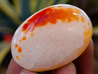 Polished Carnelian Palm Stones x 35 From Madagascar - Toprock Gemstones and Minerals