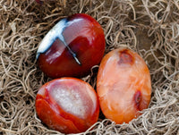 Polished Carnelian Palm Stones x 35 From Madagascar - Toprock Gemstones and Minerals