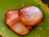 Polished Carnelian Palm Stones x 35 From Madagascar - Toprock Gemstones and Minerals