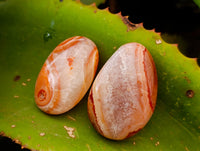 Polished Carnelian Palm Stones x 35 From Madagascar - Toprock Gemstones and Minerals
