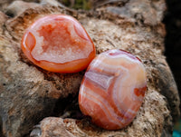 Polished Carnelian Palm Stones x 35 From Madagascar - Toprock Gemstones and Minerals
