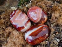 Polished Carnelian Palm Stones x 35 From Madagascar - Toprock Gemstones and Minerals
