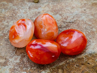 Polished Carnelian Palm Stones x 35 From Madagascar - Toprock Gemstones and Minerals