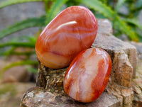 Polished Carnelian Palm Stones x 35 From Madagascar - Toprock Gemstones and Minerals