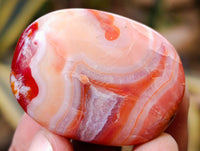 Polished Carnelian Palm Stones x 35 From Madagascar - Toprock Gemstones and Minerals