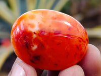 Polished Carnelian Palm Stones x 35 From Madagascar - Toprock Gemstones and Minerals