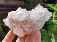 Natural Cactus Flower Amethyst Spirit Quartz Clusters x 4 From South Africa - Toprock Gemstones and Minerals