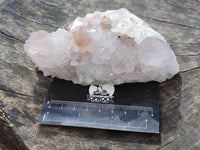 Natural Cactus Flower Amethyst Spirit Quartz Clusters x 4 From South Africa - Toprock Gemstones and Minerals