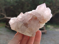 Natural Cactus Flower Amethyst Spirit Quartz Clusters x 4 From South Africa - Toprock Gemstones and Minerals