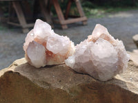 Natural Cactus Flower Amethyst Spirit Quartz Clusters x 4 From South Africa - Toprock Gemstones and Minerals
