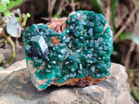 Natural Dioptase On Dolomite Specimens x 3 From Likasi, Congo - Toprock Gemstones and Minerals