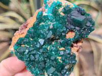 Natural Dioptase On Dolomite Specimens x 3 From Likasi, Congo - Toprock Gemstones and Minerals