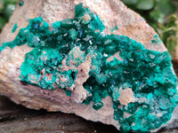 Natural Dioptase On Dolomite Specimens x 3 From Likasi, Congo - Toprock Gemstones and Minerals