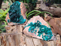 Natural Dioptase On Dolomite Specimens x 3 From Likasi, Congo - Toprock Gemstones and Minerals
