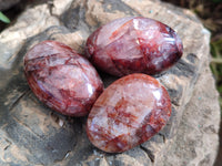 Polished Red Hematoid Quartz Palm Stones x 24 From Ambatondrazaka, Madagascar - Toprock Gemstones and Minerals