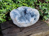 Natural Celestite Geode Specimens x 1 From Sakoany, Madagascar - Toprock Gemstones and Minerals