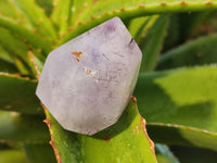 Polished Smokey Amethyst Clear Quartz Inclusion Crystals x 3 From Madagascar - Toprock Gemstones and Minerals