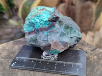 Natural Shattuckite with Chrysocolla and Malachite Cutting Material x 12 From Namibia - Toprock Gemstones and Minerals