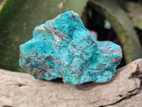 Natural Shattuckite with Chrysocolla and Malachite Cutting Material x 12 From Namibia - Toprock Gemstones and Minerals
