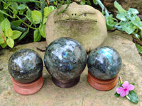 Polished Labradorite Spheres x 3 From Tulear, Madagascar - Toprock Gemstones and Minerals