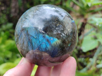 Polished Labradorite Spheres x 3 From Tulear, Madagascar - Toprock Gemstones and Minerals