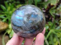 Polished Labradorite Spheres x 3 From Tulear, Madagascar - Toprock Gemstones and Minerals