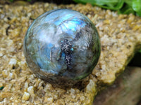 Polished Labradorite Spheres x 3 From Tulear, Madagascar - Toprock Gemstones and Minerals