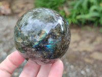 Polished Labradorite Spheres x 3 From Tulear, Madagascar - Toprock Gemstones and Minerals