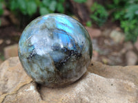 Polished Labradorite Spheres x 3 From Tulear, Madagascar - Toprock Gemstones and Minerals
