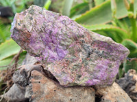 Natural Stichtite Cobbed Specimens x 3 From Barberton, South Africa - Toprock Gemstones and Minerals