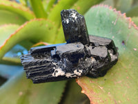 Natural Schorl Black Tourmaline with Hyalite Opal x 12 From Erongo, Namibia - Toprock Gemstones and Minerals