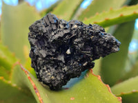 Natural Schorl Black Tourmaline with Hyalite Opal x 12 From Erongo, Namibia - Toprock Gemstones and Minerals