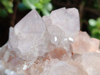 Natural Lilic Cactus Spirit Quartz Clusters x 3 From South Africa - Toprock Gemstones and Minerals
