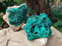 Natural Dioptase On Dolomite with Malachite Specimens x 2 From Likasi, Congo - Toprock Gemstones and Minerals