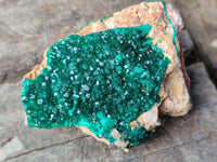 Natural Dioptase On Dolomite with Malachite Specimens x 2 From Likasi, Congo - Toprock Gemstones and Minerals