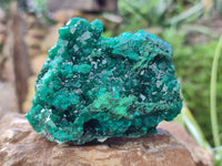 Natural Dioptase On Dolomite with Malachite Specimens x 2 From Likasi, Congo - Toprock Gemstones and Minerals