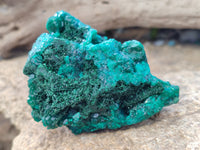 Natural Dioptase On Dolomite with Malachite Specimens x 2 From Likasi, Congo - Toprock Gemstones and Minerals