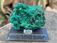 Natural Dioptase On Dolomite with Malachite Specimens x 2 From Likasi, Congo - Toprock Gemstones and Minerals