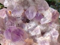 Natural Jacaranda Amethyst Quartz Cluster x 2 From Mumbwa, Zambia - Toprock Gemstones and Minerals