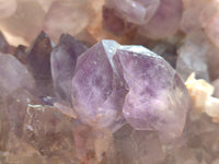 Natural Jacaranda Amethyst Quartz Cluster x 2 From Mumbwa, Zambia - Toprock Gemstones and Minerals