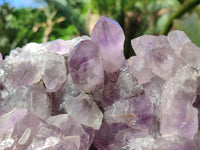 Natural Jacaranda Amethyst Quartz Cluster x 2 From Mumbwa, Zambia - Toprock Gemstones and Minerals