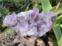 Natural Jacaranda Amethyst Quartz Cluster x 2 From Mumbwa, Zambia - Toprock Gemstones and Minerals