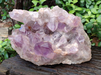 Natural Jacaranda Amethyst Quartz Cluster x 2 From Mumbwa, Zambia - Toprock Gemstones and Minerals
