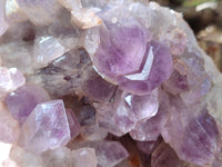Natural Jacaranda Amethyst Quartz Cluster x 2 From Mumbwa, Zambia - Toprock Gemstones and Minerals