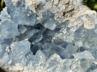 Natural Celestite Geode Specimens x 1 From Sakoany, Madagascar - Toprock Gemstones and Minerals
