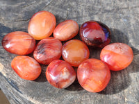 Polished Small Carnelian Agate "Jewellery" Palm Stones x 70 From Madagascar - Toprock Gemstones and Minerals