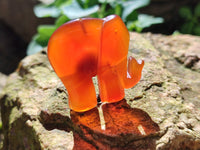 Polished Carnelian Agate Elephant Fridge Magnets - Sold per Item - From China - Toprock Gemstones and Minerals