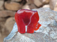 Polished Carnelian Agate Elephant Fridge Magnets - Sold per Item - From China - Toprock Gemstones and Minerals