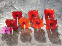 Polished Carnelian Agate Elephant Fridge Magnets - Sold per Item - From China - Toprock Gemstones and Minerals