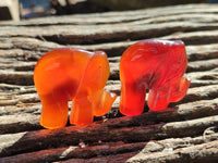 Polished Carnelian Agate Elephant Fridge Magnets - Sold per Item - From China - Toprock Gemstones and Minerals